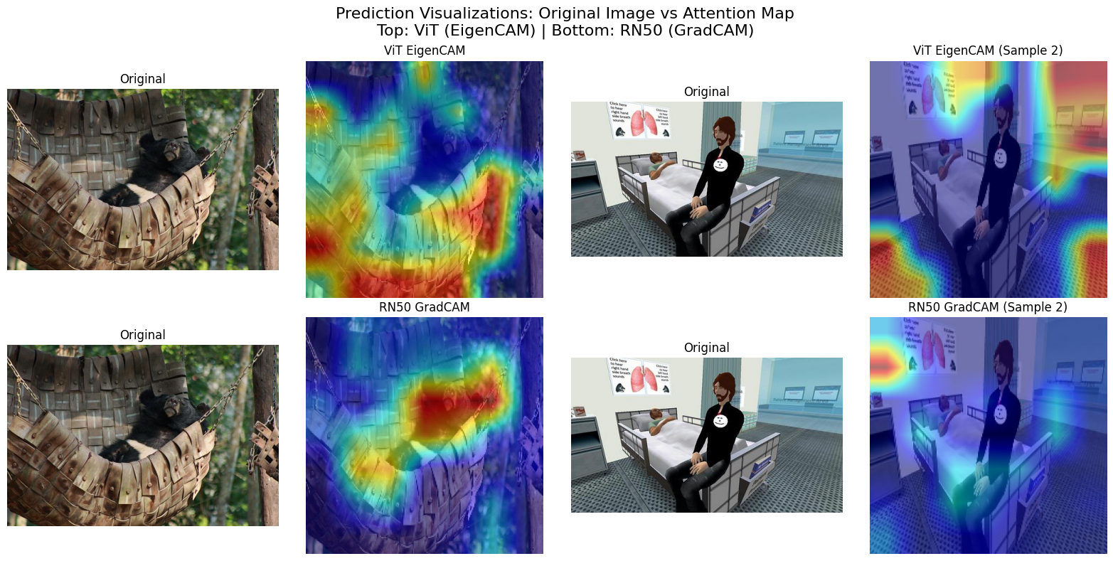 GradCAM interpretations