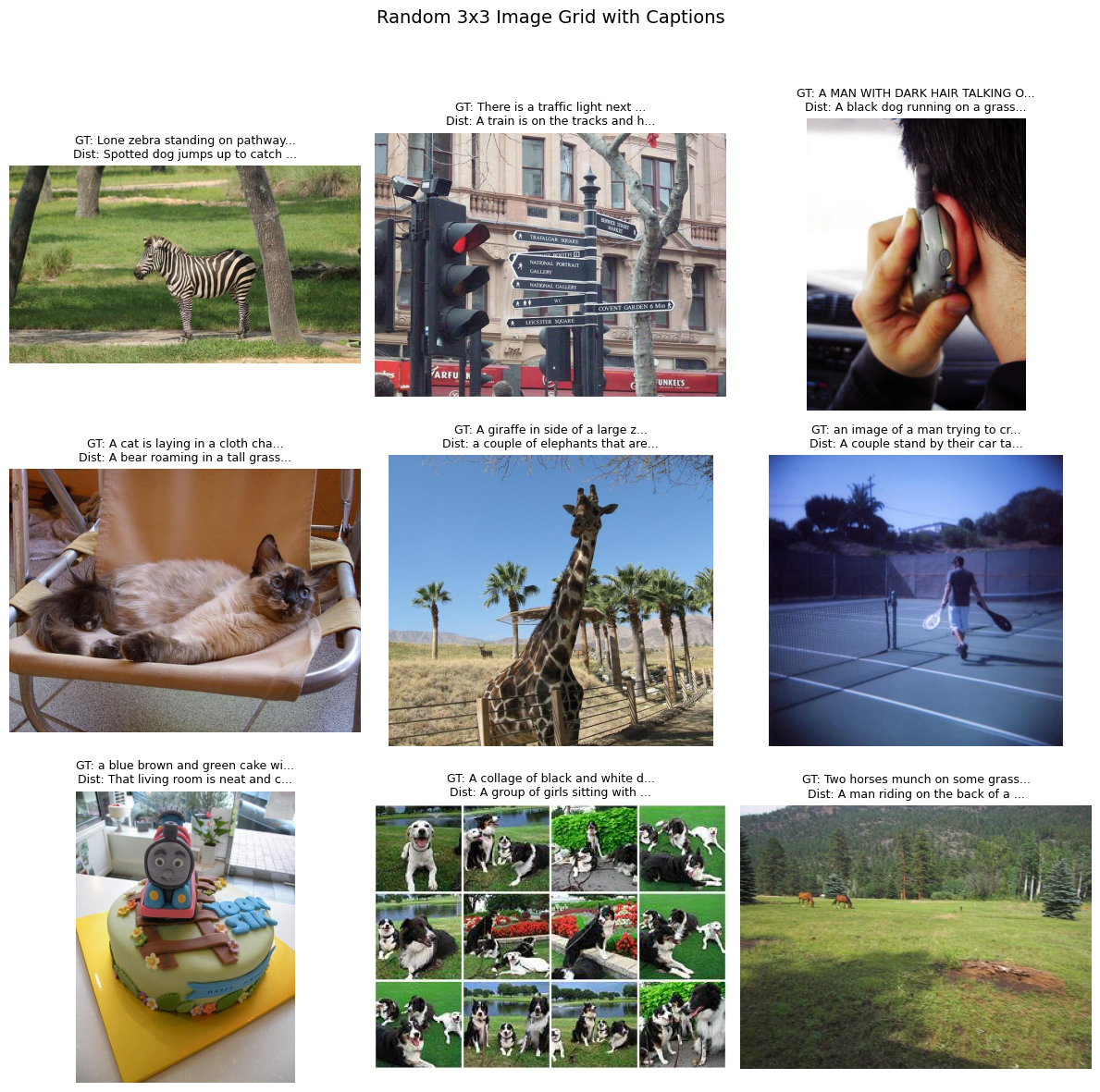 Sample Image Grid